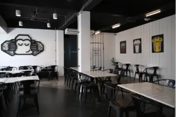 Monkey Hub co-working space
